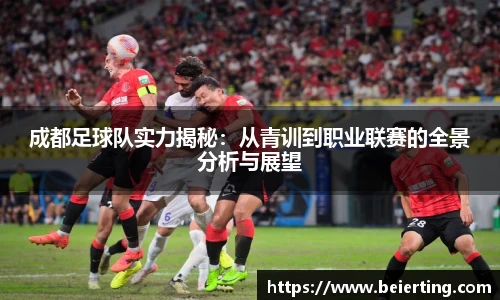 成都足球队实力揭秘：从青训到职业联赛的全景分析与展望
